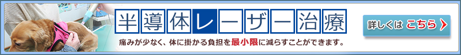 半導体レーザー治療