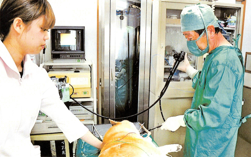 レーザー治療を