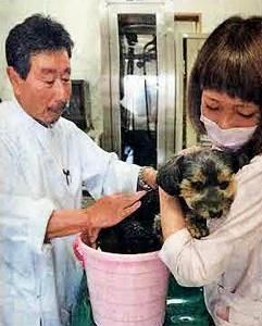 狂犬病ワクチンの大切さ