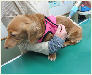 治療例椎間板ヘルニア